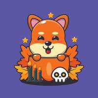 süß Shiba inu im Halloween Kürbis. süß Halloween Karikatur Illustration. vektor