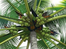 kokos träd design vektor, annons, baner. vektor