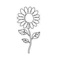 Hand gezeichnet Sonnenblume im kontinuierlich einer Linie Stil. Vektor Illustration Gliederung von Blume isoliert auf Weiß Hintergrund