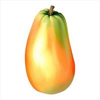 frisch Papaya isoliert detailliert Hand gezeichnet Gemälde Illustration vektor