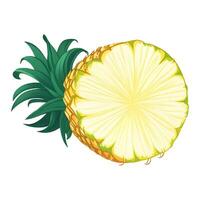 halv ananas isolerat detaljerad hand dragen målning illustration vektor