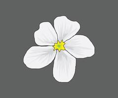 Weiß Blumen- Linie Kunst Zeichnung Vektor Kunst, Symbole, und Grafik Färbung Seite zum Kinder