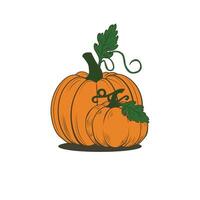 halloween pumpa ikon. vektor. höst symbol. platt design. halloween skrämmande pumpa med leende, glad ansikte. orange squash siluett isolerad på vit bakgrund. tecknad färgglad illustration. vektor