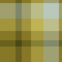 pläd mönster textur av bakgrund sömlös tartan med en vektor kolla upp textil- tyg.