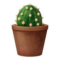 runda kaktus i en växt pott isolerat detaljerad hand dragen målning illustration vektor