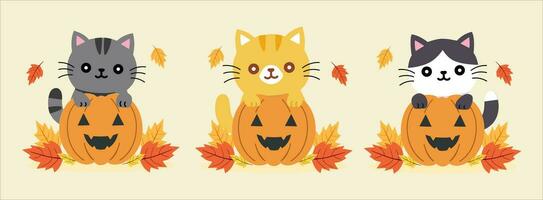 uppsättning av söt katter och pumpor med höst löv. platt design, klistermärke, och ClipArt med vektor illustrationer