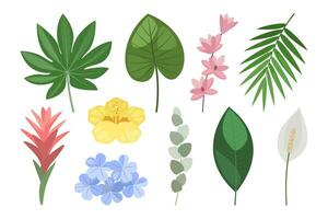tropisch einstellen von Hand gezeichnet Blumen und Blätter. Vektor botanisch Illustration.