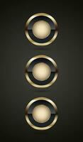 drei Luxus Gold und Prämie Qualität Abzeichen Taste Design, 3 Luxus Kreis auf dunkel Hintergrund Vorlage vektor