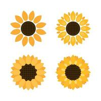 Sonnenblume Symbol im eben Stil. Flora Vektor Illustration auf isoliert Hintergrund. Sonnenblume Zeichen Geschäft Konzept.