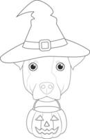 Halloween Gruß Karte zum Färbung. Jack Russell Hund gekleidet wie ein Hexe mit schwarz Hut und ein Kürbis im das Mund vektor