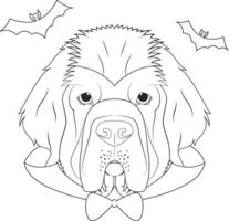 halloween hälsning kort för färg. newfoundland hund klädd som en vampyr med huggtänder och cape, och en par av fladdermöss flygande runt om vektor