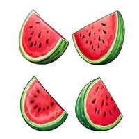 vattenmelon uppsättning illustration vektor