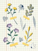 Herbarium Vektor Illustration im eben Stil. getrocknet Blumen sind geklebt zu kariert Notizbuch Papier.