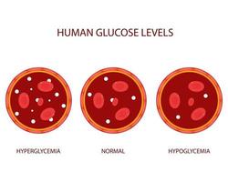 flache Illustrationen des menschlichen Glukosespiegels vektor