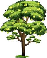 Birnbaum im Cartoon-Stil isoliert auf weißem Hintergrund vektor