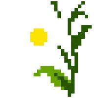 vit blomma tecknad serie ikon i pixel stil vektor
