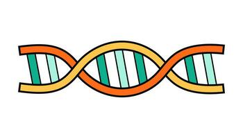 Wissenschaft Schule DNA Bildung Symbol. Chemie und Physik Labor Karikatur Symbol von Gen Technologie. Fett gedruckt hell molekular Struktur Kette. Vektor Illustration isoliert auf Weiß.