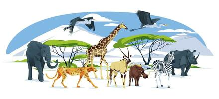 vild afrikansk djur uppsättning promenader på de savann landskap elefant, giraff, gepard, oryx antilop, zebra, struts, flodhäst, hyena, vårtsvin, häger. vektor platt illustration.