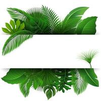 Zeichen mit Text Raum von tropisch Blätter. geeignet zum Natur Konzept, Urlaub, und Sommer- Urlaub, Vektor Illustration