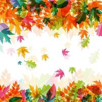 glänzender Herbst natürlicher Blätterhintergrund. Vektor-Illustration vektor