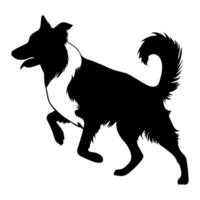 Rand Collie Hund Silhouette Symbol Symbol. Vektor Illustration