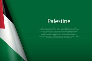 nationell flagga palestina isolerat på bakgrund med copy vektor