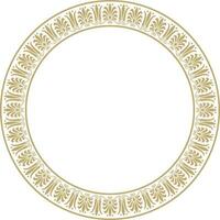 vektor guld runda klassisk grekisk prydnad. europeisk prydnad. gräns, ram, cirkel, ringa gammal Grekland, roman välde