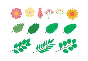 Blomma Clipart Ställ Vektor Illustration