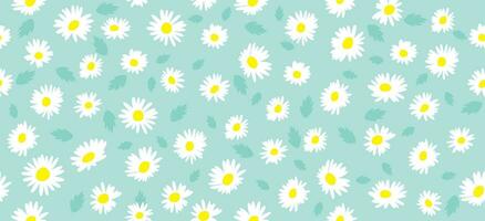 daisy blomma mönster. skön vit blomma bakgrund. blommig blomma daisy. vår vit blomma design vektor. tusenskönas på en ljus blå bakgrund. vektor design för tyg, slå in papper, skriva ut kort.