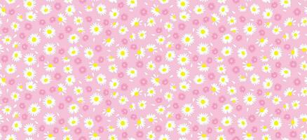 Gänseblümchen Blume Muster. schön Weiß Blume Hintergrund. Blumen- blühen Gänseblümchen. Frühling Weiß Blume Design Vektor. Gänseblümchen auf ein Licht Rosa Hintergrund. Vektor Design zum Stoff, wickeln Papier, drucken Karte.