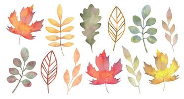 Sammlung von verschiedene Herbst Blätter.botanisch Clip Art zum saisonal Feiertage.Thanksgiving,Halloween.Aquarell Stil.handgemacht isoliert Kunst. vektor