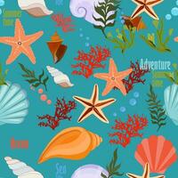 ein Muster auf ein Marine Thema, Muscheln, Algen, Korallen vektor