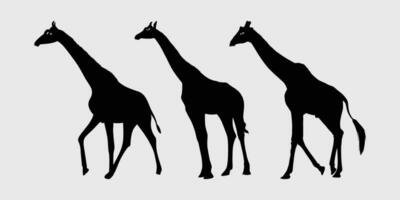 Giraffe schwarz Silhouette, Giraffe Vektor Gliederung Design, Giraffe Vektor schwarz und Weiß