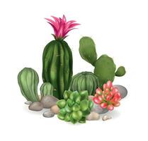 kaktus blomma realistisk sammansättning vektor