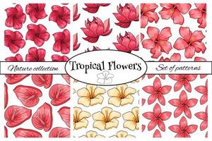 tropisches Muster mit exotischen Pflanzenblumen und -blättern im Karikaturstil vektor