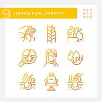 pixel perfekt lutning ikoner uppsättning av hårvård, tunn linjär kreativ orange illustration. vektor