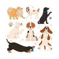 uppsättning av emotionell och positiv hundar. samling av hand dragen vaxkaka djur. vektor illustration