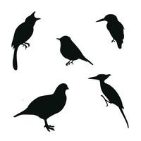 fåglar silhuett vektor illustration