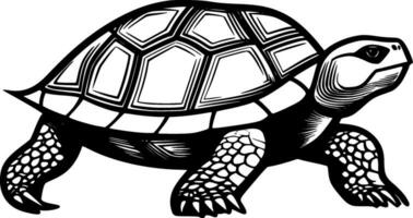 sköldpadda - hög kvalitet vektor logotyp - vektor illustration idealisk för t-shirt grafisk