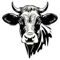 Kuh Gesicht, schwarz und Weiß Bild vektor