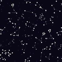sömlösa mönster. stjärntecken av de vackra ljusa stjärnorna på c vektor