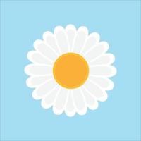 Gänseblümchen-Blumen-Symbol, Sonnenblumen-Symbol, Vektor-Illustration blauem Hintergrund vektor