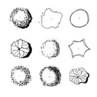 Handgezeichneter Satz grafischer Bäume, Draufsicht, für Architektur und Landschaft. vektor
