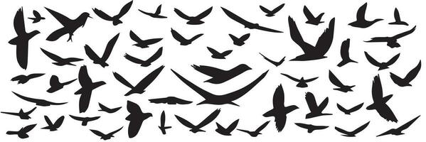 groß Sammlung von Hand gezeichnet fliegend Vögel Silhouette. einstellen von Silhouette von fliegend Vögel. Vektor Abbildung.