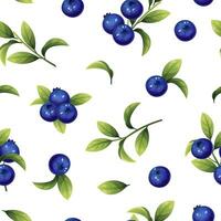 nahtlos Muster von Blaubeeren. Textur von Blau Beeren und Blätter. Blaubeere Zweige zum Stoff, Hintergrund, Verpackung Papier, usw. vektor