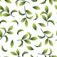 nahtlos Muster von Grün Blätter. Blaubeere Blatt Textur. Zweige zum Stoff, Hintergrund, Verpackung Papier, usw. vektor