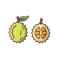 Durian frukt tecknad serie vektor illustration design. frukt premie illustration isolerat.