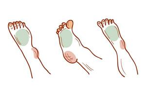 anders Füße und Beine Körper Teile Sammlung. Haut Pflege, Wellness und Podologie Konzept. vektor