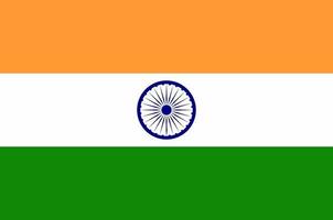 indisk flagga vektorbild vektor