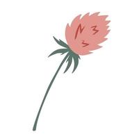 Kleeblume Kräuterzweig. Sommerklee Blume. dekorative Wildblume. ideal für die Gestaltung von Homöopathie-Produkten. Hand gezeichnete Vektorillustration der saisonalen Wiesenkleeblume vektor